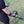 Ajax Detection Primero Professional Metal Detector