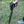 Ajax Detection Primero Professional Metal Detector