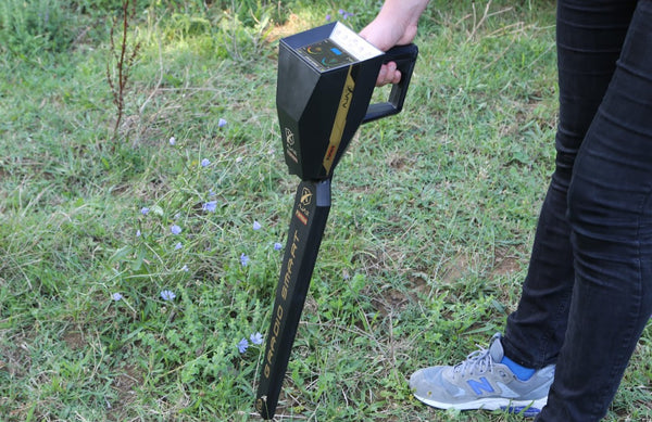 Ajax Detection Primero Professional Metal Detector