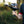 Geoground Gold Vision Long Range Metal Detector