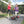 Pride Go Go® Sport 4-Wheel Mobility Scooter (Portable)