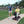 Pride Go Go® Sport 4-Wheel Mobility Scooter (Portable)