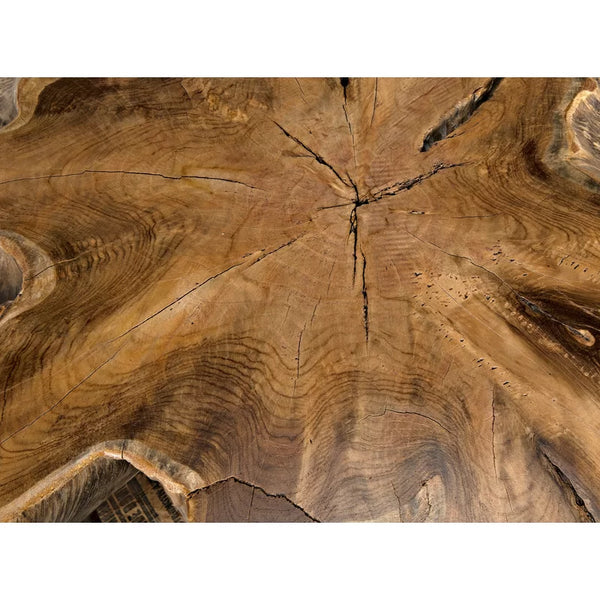 Noir -Teak Root Coffee Table