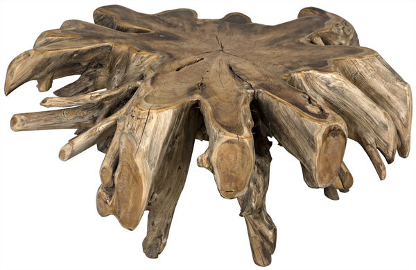 Noir -Teak Root Coffee Table