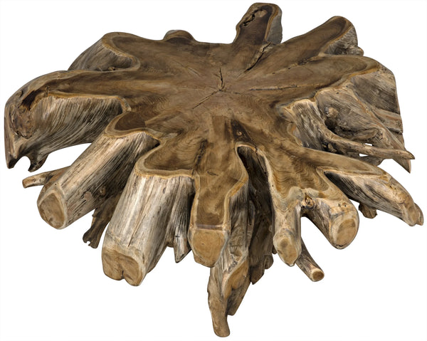 Noir -Teak Root Coffee Table